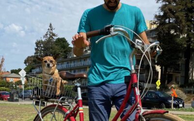 Review of the PUBLIC C7 (and C Series) Step-Through Dutch-Style Bicycle