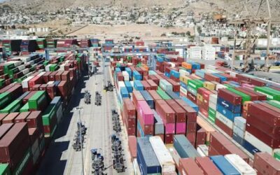 Six Detained in Growing E-Bike Anti-Dumping Investigation by Calypso