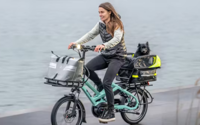 Tern to set up its own distribution hub in Europe.