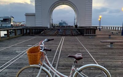 A Guide to Selecting the Ideal Bicycle Fenders