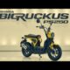 2026 Honda Big Ruckus PS250 Returns: The Ultimate Scooter Reimagined!