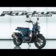2026 Honda Big Ruckus PS250: The Beast is Back and Better than Ever!
