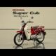 2026 Honda Super Cub 160 Enduro: Experience the Legendary Bike's Savage Upgrade!