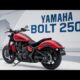 Discover the 2025 Model: The 250cc Cruiser Everyone's Talking About!