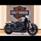 2025 Harley-Davidson Panhead: The Boldest Bike Yet - Full Breakdown!